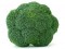 brokolice.jpg